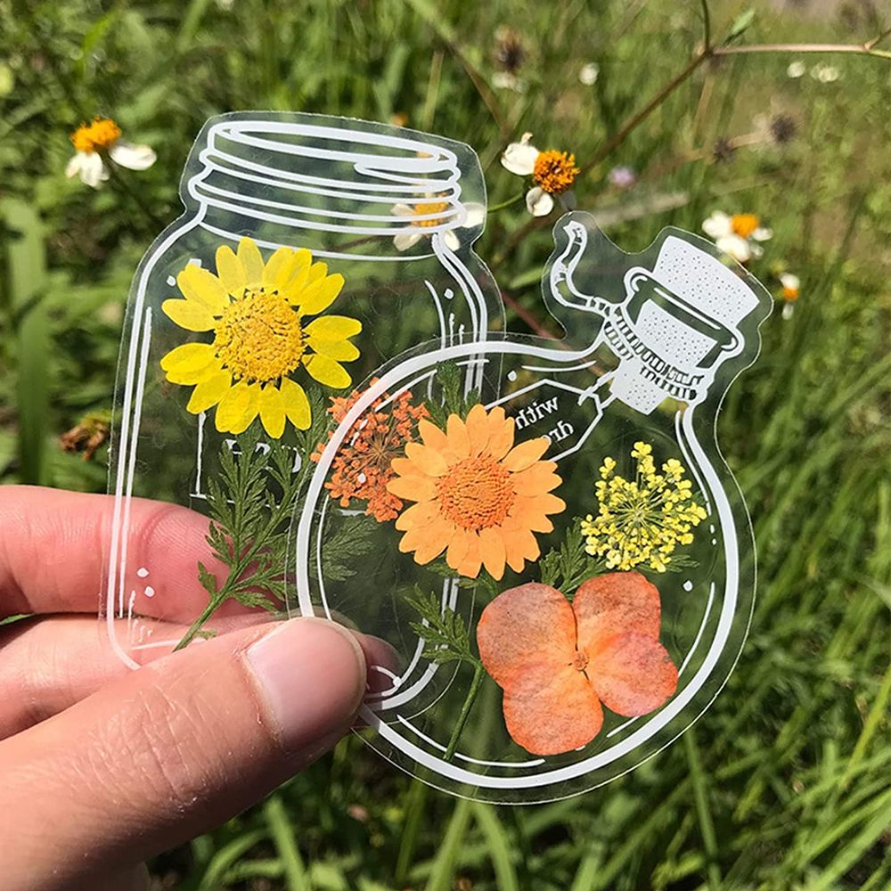 علامات مرجعية شفافة مجففة مصنو - مراجعة Dried Flower Bookmark وسعره