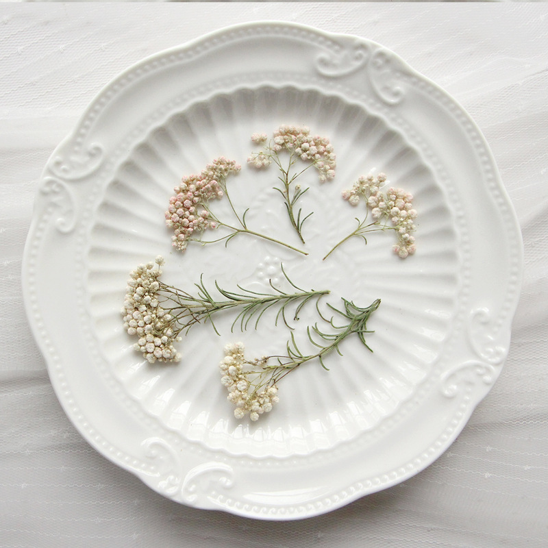 12 قطعة، أغصان زهور الدخن الطب - مراجعة Dried Flower Bookmark وسعره